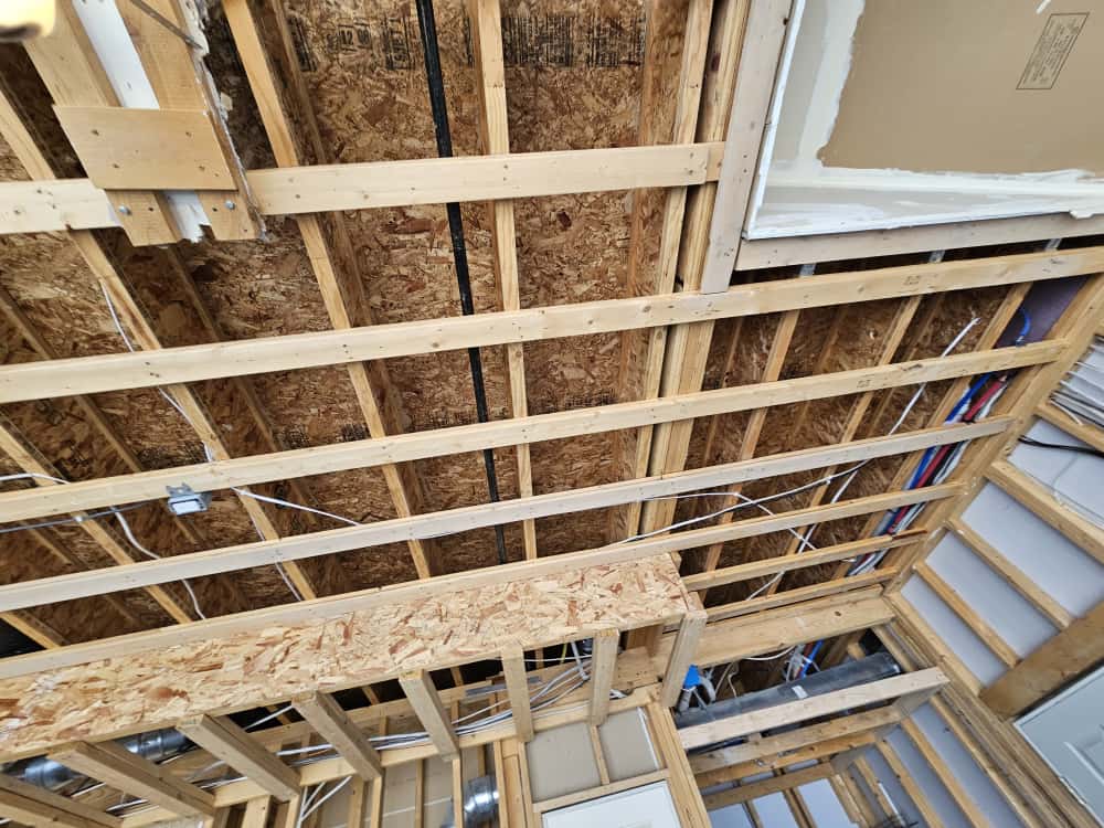Chavi’s Professional Contractor